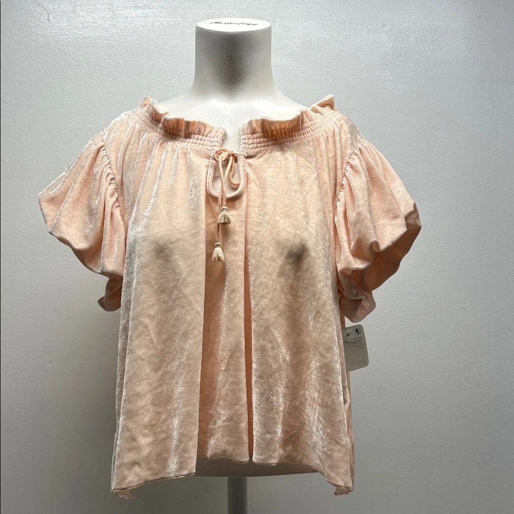 Free People Terese Velvet Top Short Sleeve Ruffle Tassel Light Pink New Small